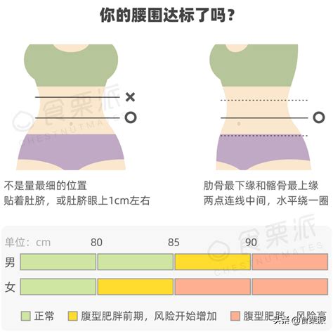 腰圍計算方式|腰圍到底怎麼量？超有感的身體尺寸量法大公開！ —。